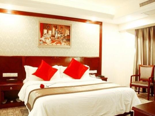 Vienna Hotel Chaoyang Nanning Room photo